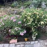 Suartone Di Fium'orbu Ubytování v soukromí