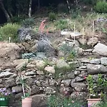 Suartone Di Fium'orbu * Isolaccio-di-Fiumorbo