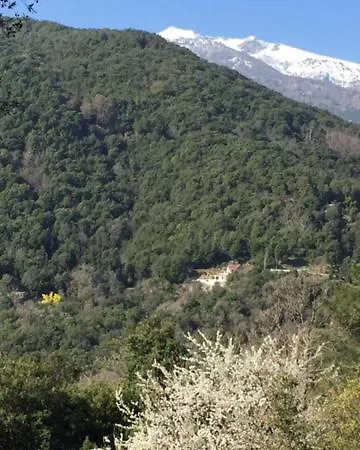 Privat bolig Suartone Di Fium'orbu *