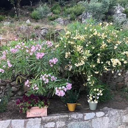 Suartone Di Fium'orbu Privat bolig